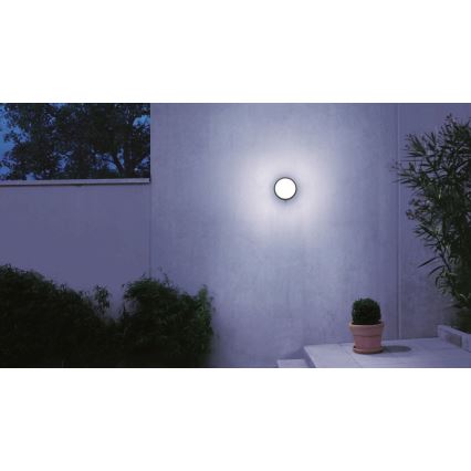 STEINEL 053079 - LED Zunanja stenska svetilka s senzorjem L330 LED/9W/230V 3000K IP44