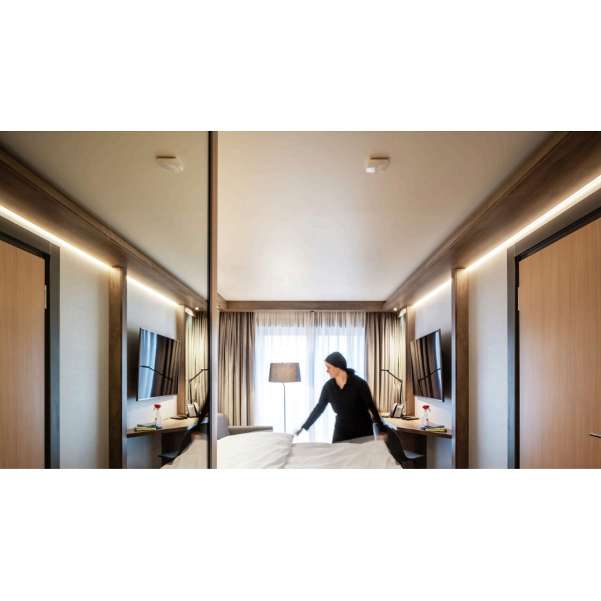 STEINEL 056339 - Senzor gibanja TRUE PRESENCE KNX