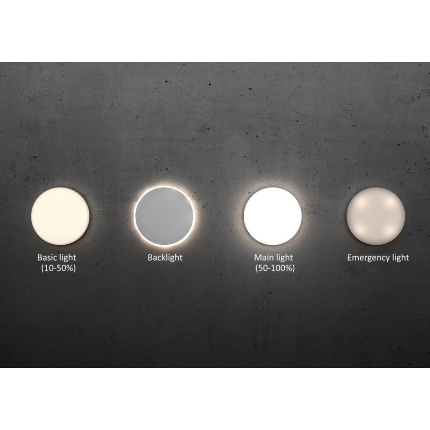 STEINEL 057206 - LED Stropna svetilka RS PRO LED/24,5W/230V IP40 4000K