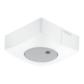 Steinel 057411 - Svetlobni senzor DUAL-E DALI2 kvadraten bela