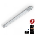 Steinel 058722 - LED Zatemnitven heavy-duty svetel RS PRO 5150 C LED/42W/230V IP65