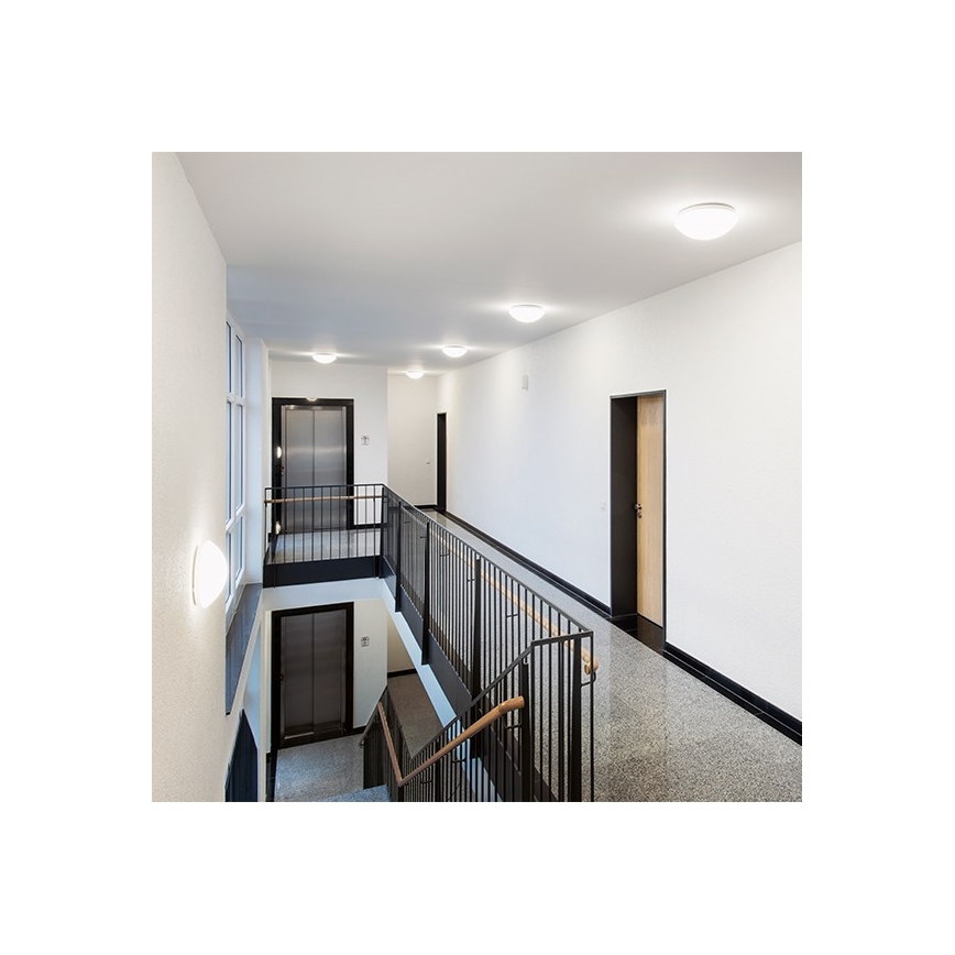 STEINEL 064815 - LED Kopalniška stropna svetilka s senzorjem RS PRO LED/9,5W/230V 4000K IP54