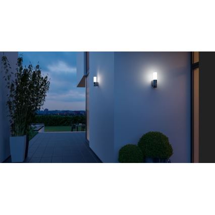 Steinel 065287 - LED Zunanja svetilka s senzorjem L 605 LED/9,5W/230V IP44 antracit