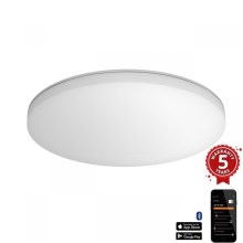 Steinel 067793 - LED Zatemnitvena stropna svetilka s senzorjem RS PRO R30 plus SC 23,7W/230V 3000K
