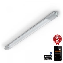 Steinel 079338 - LED Industrijska svetilka s senzorjem RS PRO 5150 SC 5C LED/42W/230V IP66