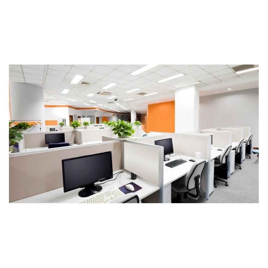 Steinel 079574 - Detektor prisotnosti DualTech COM1 bel