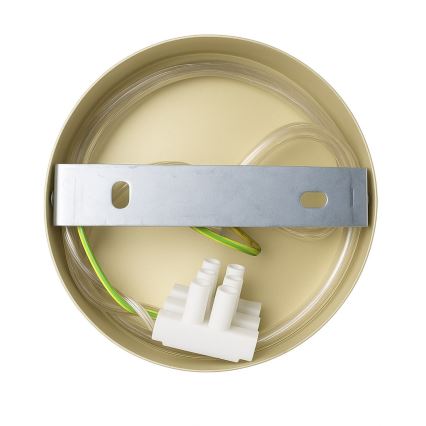 Stenska svetilka CAPITAL 1xGX53/15W/230V zlata