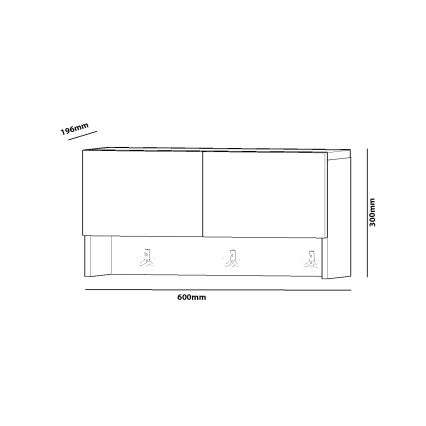Stenski obešalnik z omarico POOL 30x60 cm bela