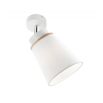 Stenski reflektor AGUSTINO 1xE27/60W/230V