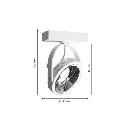 Stenski reflektor LUGAR 1xAR111 - GU10/25W/230V