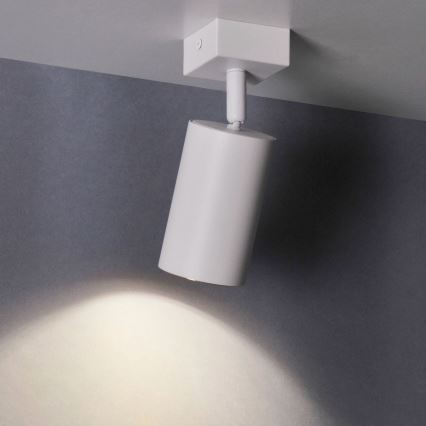 Stenski reflektor MARIBEL 1xGU10/10W/230V bela