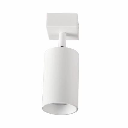 Stenski reflektor MARIBEL 1xGU10/10W/230V bela