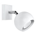 Stenski reflektor OCULARE 1xGU10/10W/230V