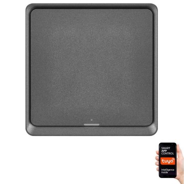 Stikalo 1-gumb GoSmart 1xCR2430 Tuya črna