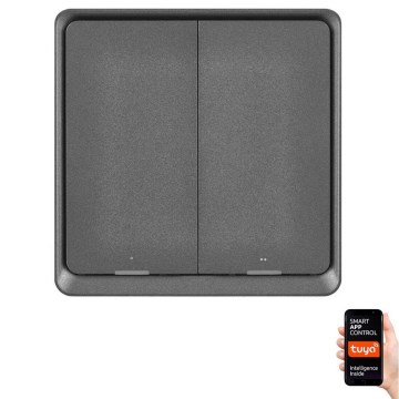 Stikalo 2-gumba GoSmart 1xCR2430 Tuya črna