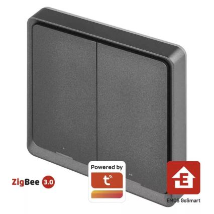Stikalo 2-gumba GoSmart 1xCR2430 Tuya črna