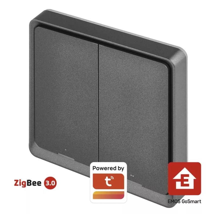 Stikalo 2-gumba GoSmart 1xCR2430 Tuya črna
