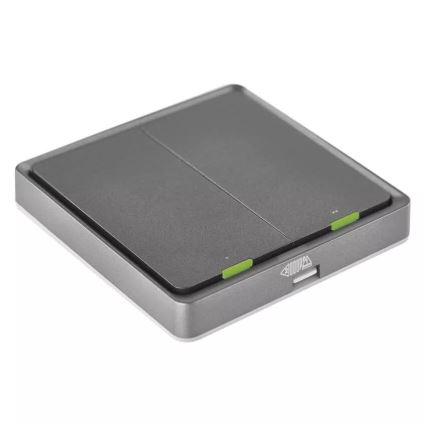 Stikalo 2-gumba GoSmart 1xCR2430 Tuya črna