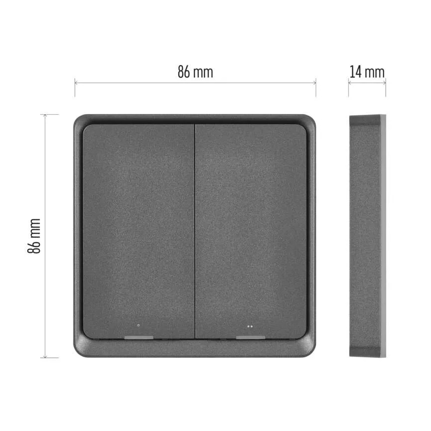 Stikalo 2-gumba GoSmart 1xCR2430 Tuya črna