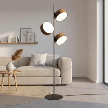 Stoječa svetilka DRUMZ 3xE14/10W/230V rjava