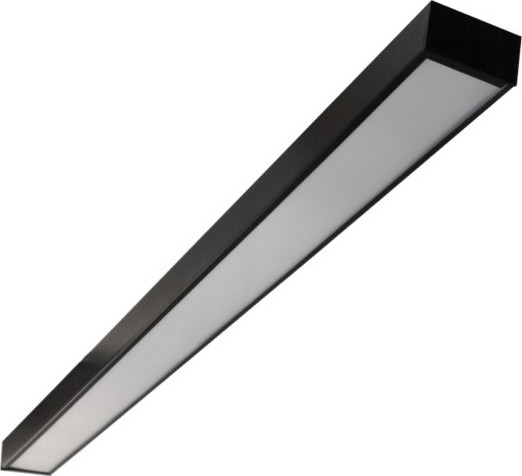 Stropna LED svetilka CYNIDECO 12W/230V 4000K črna