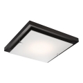 Stropna svetilka 1xE27/60W/230V borovina