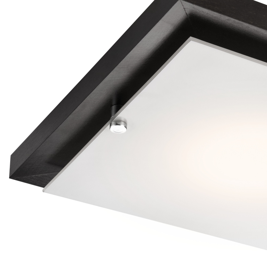Stropna svetilka 1xE27/60W/230V bor - FSC certifikat
