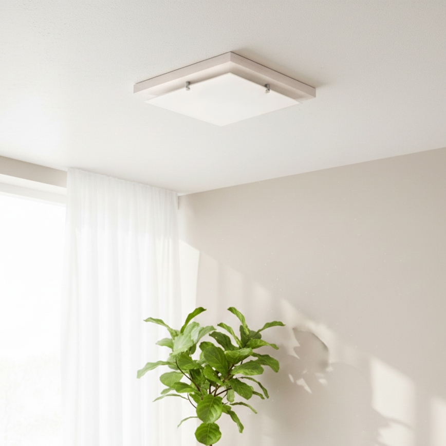 Stropna svetilka 1xE27/60W/230V buk