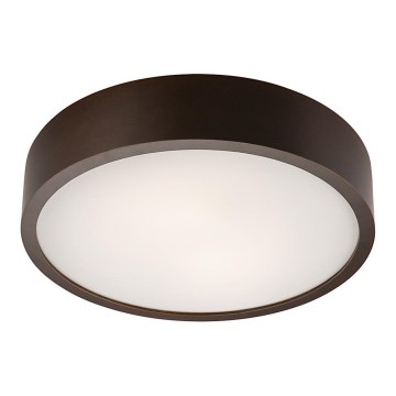 Stropna svetilka 2xE27/60W/230V borovca