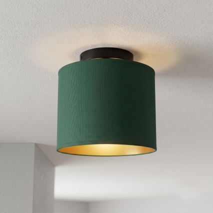 Stropna svetilka ARDEN 1xE27/15W/230V Ø 18 cm zelena