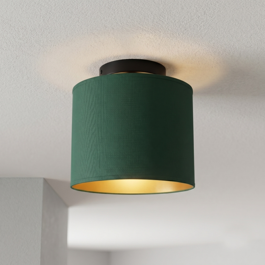Stropna svetilka ARDEN 1xE27/15W/230V Ø 18 cm zelena