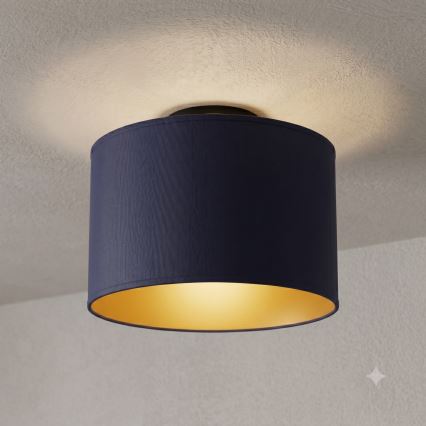 Stropna svetilka ARDEN 1xE27/15W/230V Ø 25 cm modra