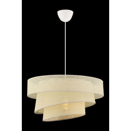 Stropna svetilka COUPER 1xE27/60W/230V bela