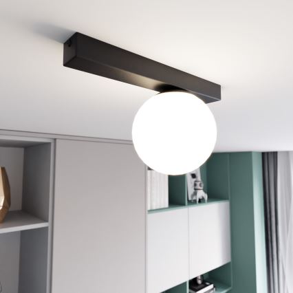 Stropna svetilka FIT 1xE14/10W/230V črna/bela