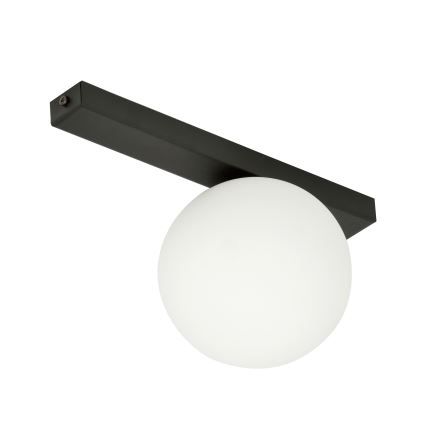 Stropna svetilka FIT 1xE14/10W/230V črna/bela