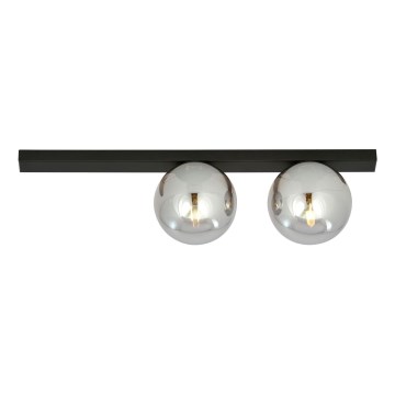 Stropna svetilka FIT 2xE14/10W/230V črna/siva