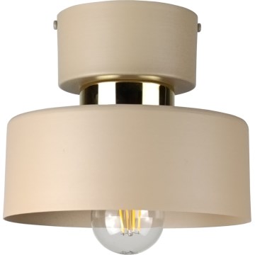 Stropna svetilka IGNIA 1xE27/60W/230V taupe