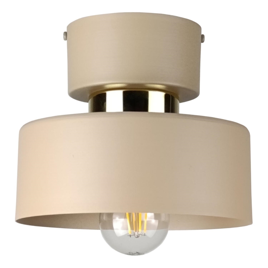 Stropna svetilka IGNIA 1xE27/60W/230V taupe