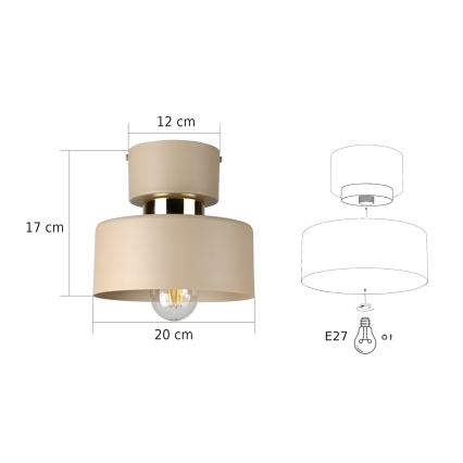 Stropna svetilka IGNIA 1xE27/60W/230V taupe