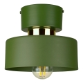 Stropna svetilka IGNIA 1xE27/60W/230V zelena