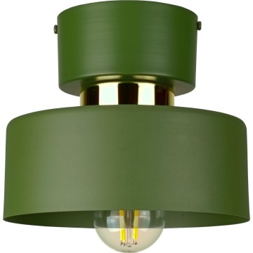 Stropna svetilka IGNIA 1xE27/60W/230V zelena