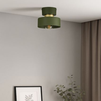 Stropna svetilka IGNIA 1xE27/60W/230V zelena