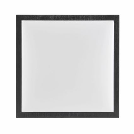 Stropna svetilka KAZIMIERZ 2xE27/20W/230V 29,5x29,5 cm črna