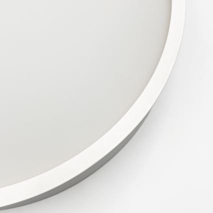 Stropna svetilka NATURAL 1xE27/15W/230V premer 27,5 cm borovica/bela