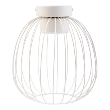 Stropna svetilka OVELLA 1xGX53/10W/230V, premer 25 cm, kremna
