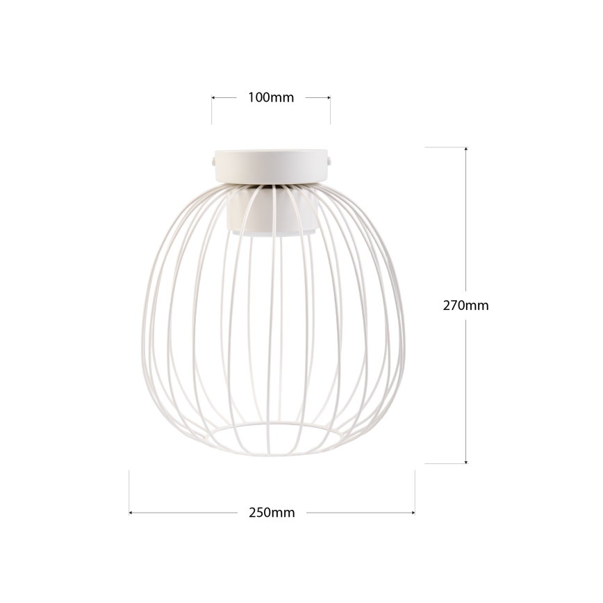 Stropna svetilka OVELLA 1xGX53/10W/230V, premer 25 cm, kremna