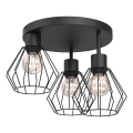 Stropna svetilka PARKLA 3xE27/15W/230V črna