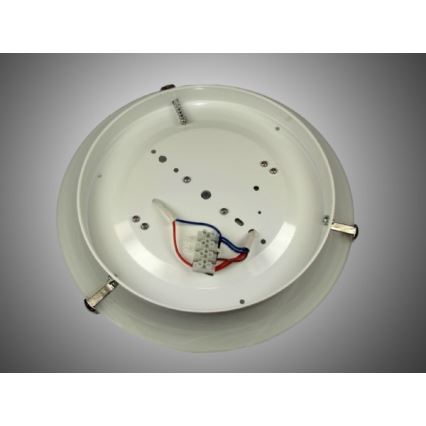 Stropna svetilka s senzorjem 2xE27/40W/230V