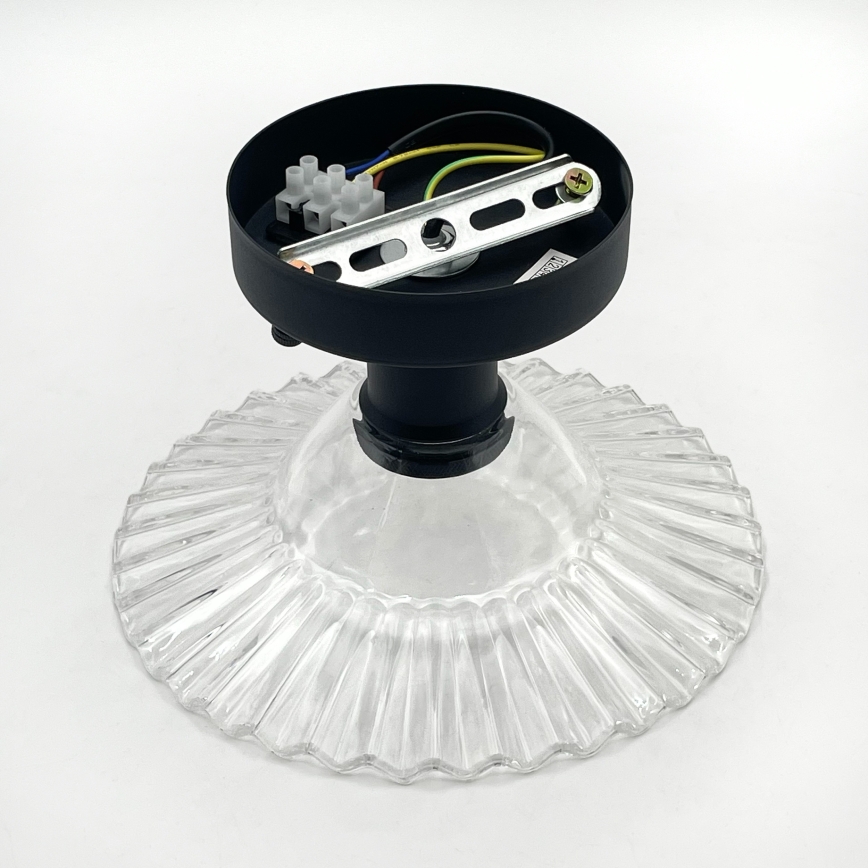 Stropna svetilka TRISH, pritrjena, 1xE27/15W/230V, črna/prozorna