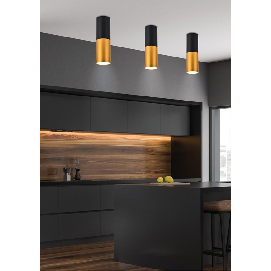 Stropna svetilka TUBA 1xGU10/15W/230V
